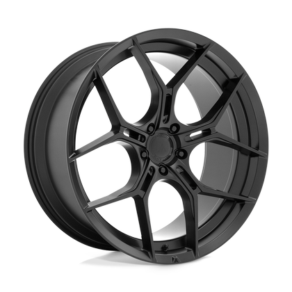 Asanti MONARCH image resized