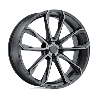 Status MASTADON image resized